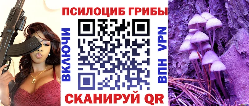Галлюциногенные грибы мицелий блэк спрут вход Шадринск